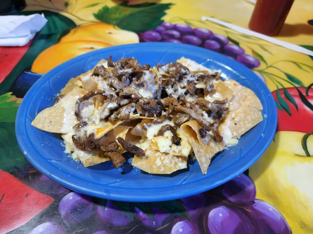 Nachos Fajitas Plain